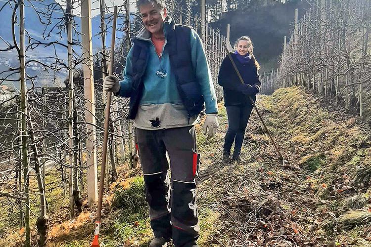 Arbeiten nach dem Baumschnitt