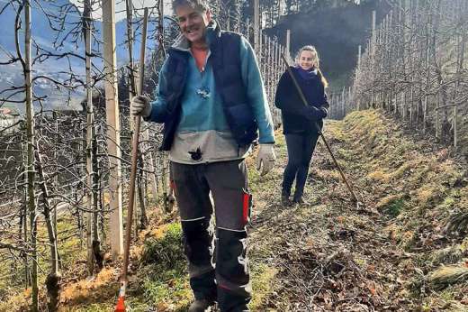 Arbeiten nach dem Baumschnitt