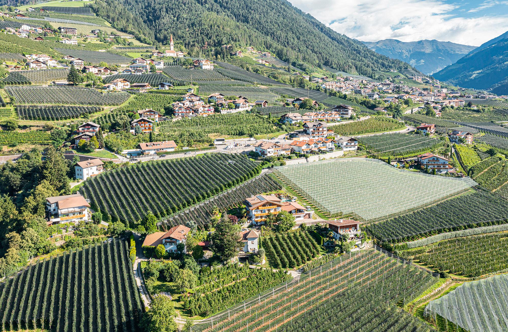 Drohnenaufnahme vom Feldhof umgeben von Obstwiesen