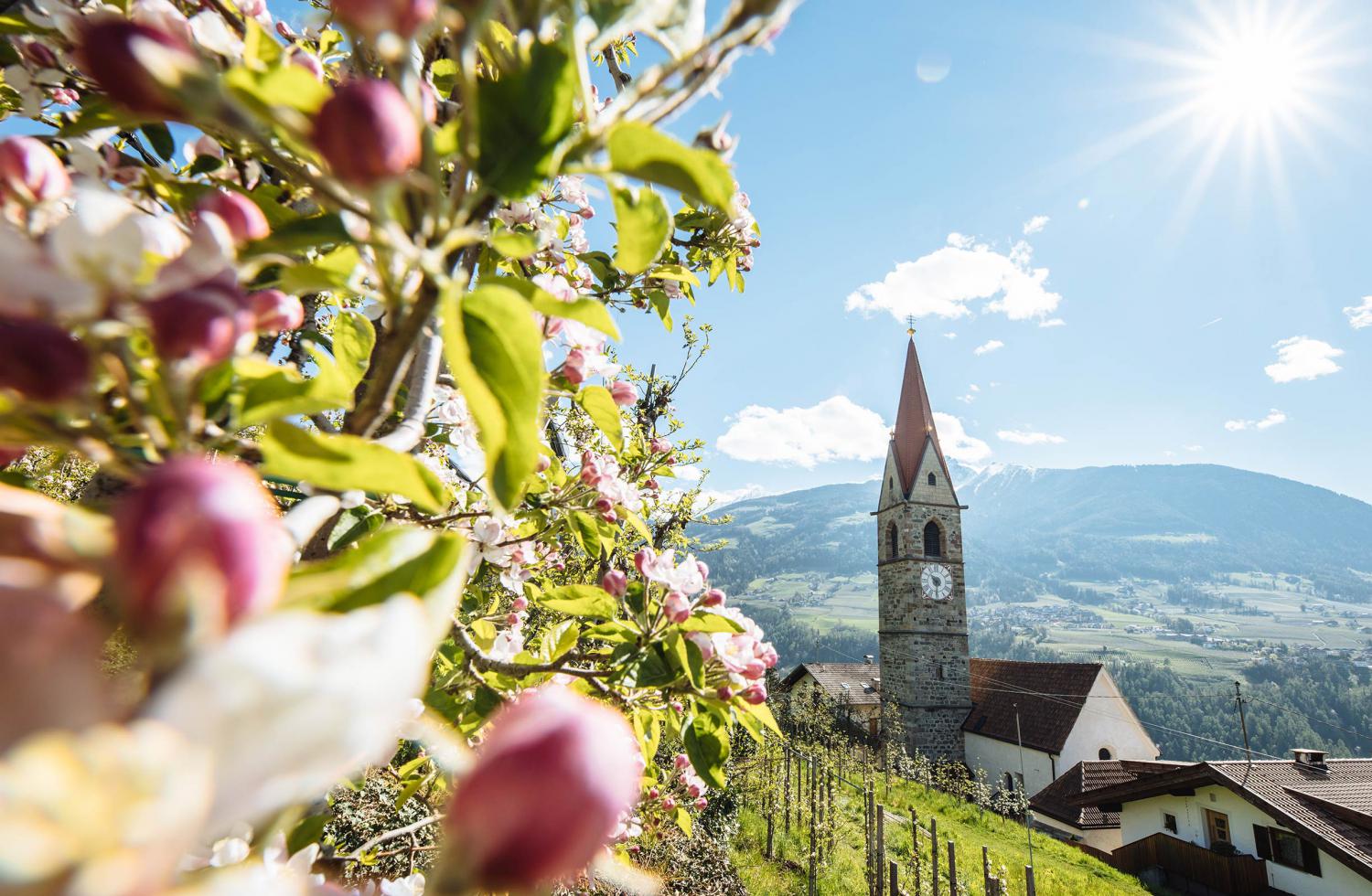 Kuens im Frühling